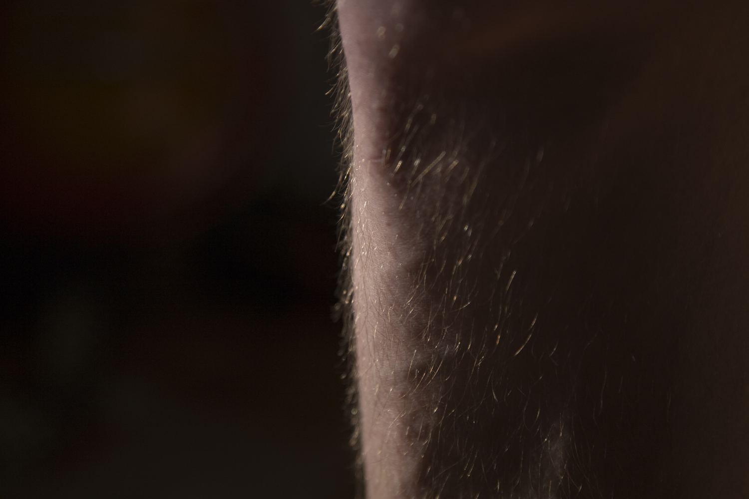 aktfotografie haare